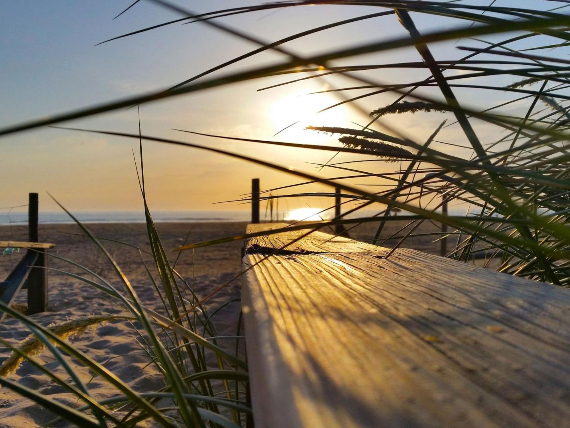 Agoodplan Aitana Playa El Palmar Lejlighed El Palmar  Eksteriør billede